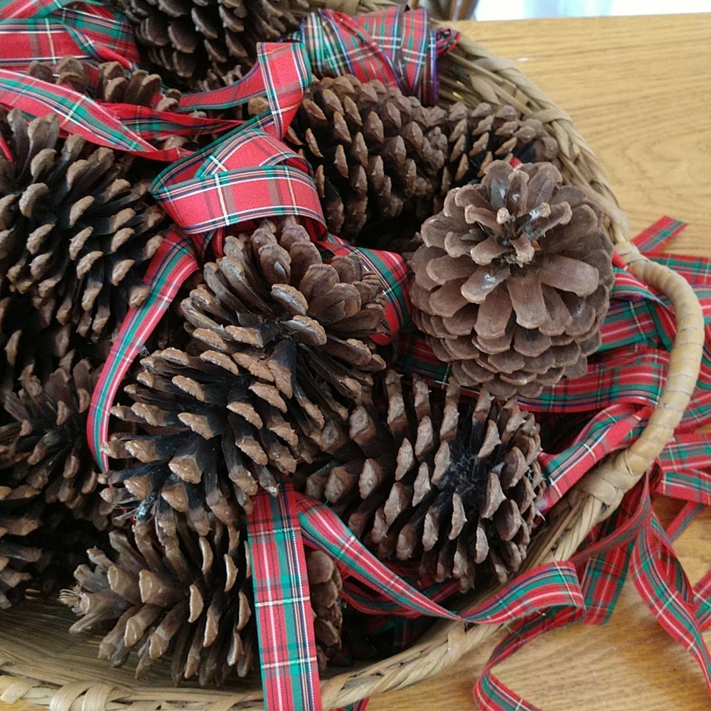 CHRISTMAS PAIR of GIANT Plaid Ribbon Festooned Pinecones